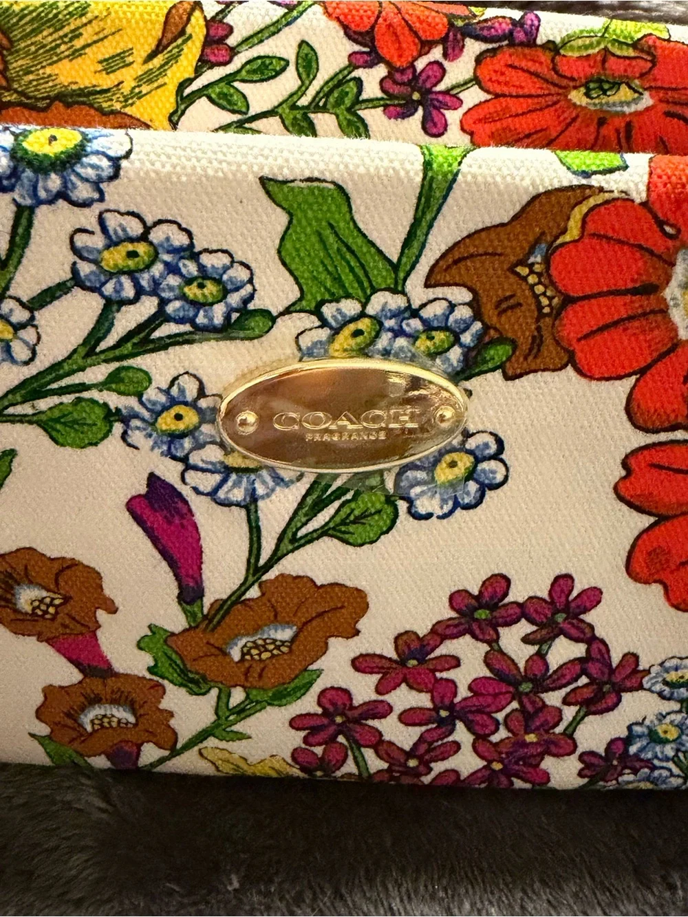 Coach Floral Cosmetic Pouch in Cream with Orange, Pink & Green Accents